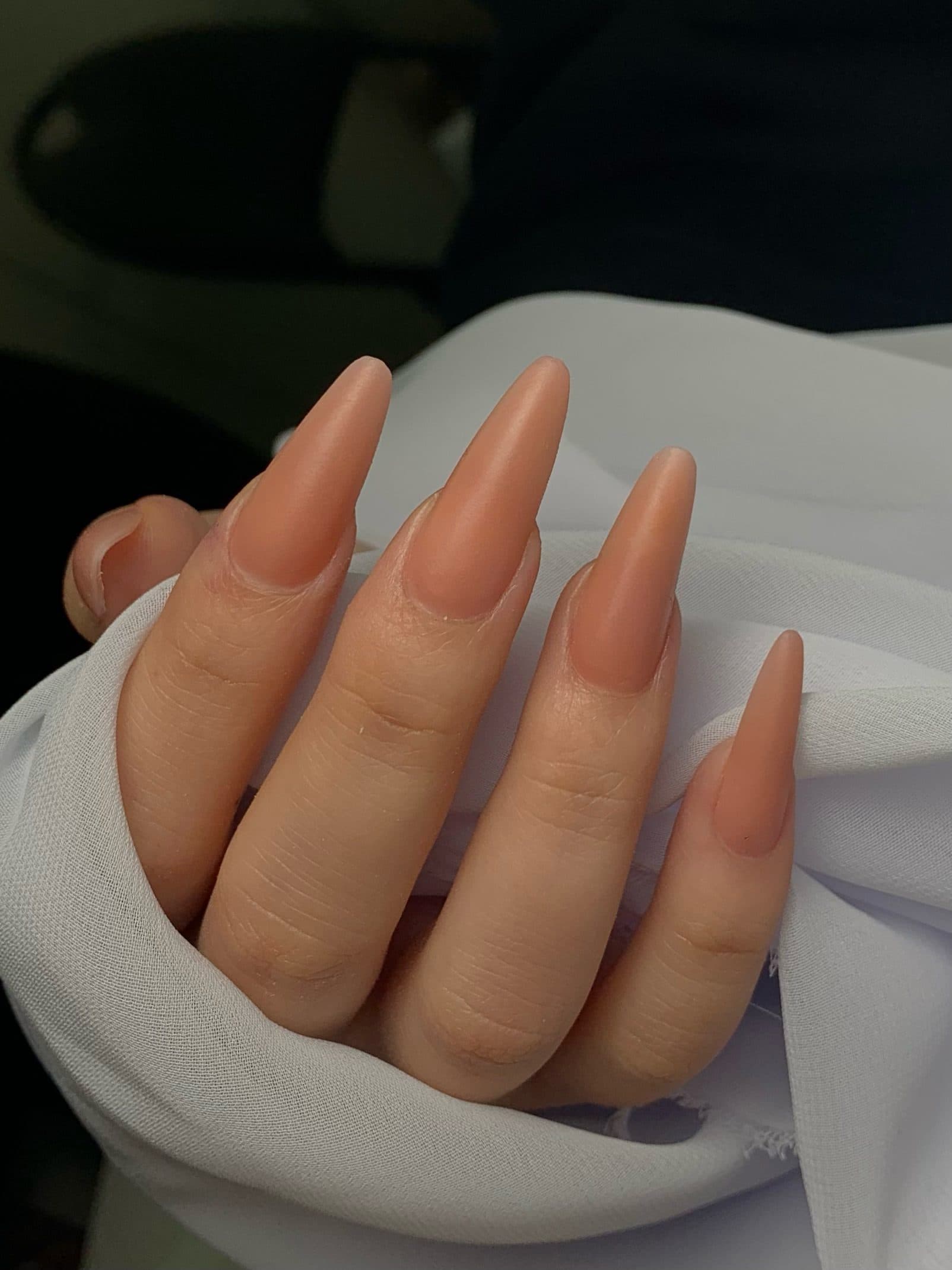 Soft nude almond nail extensions